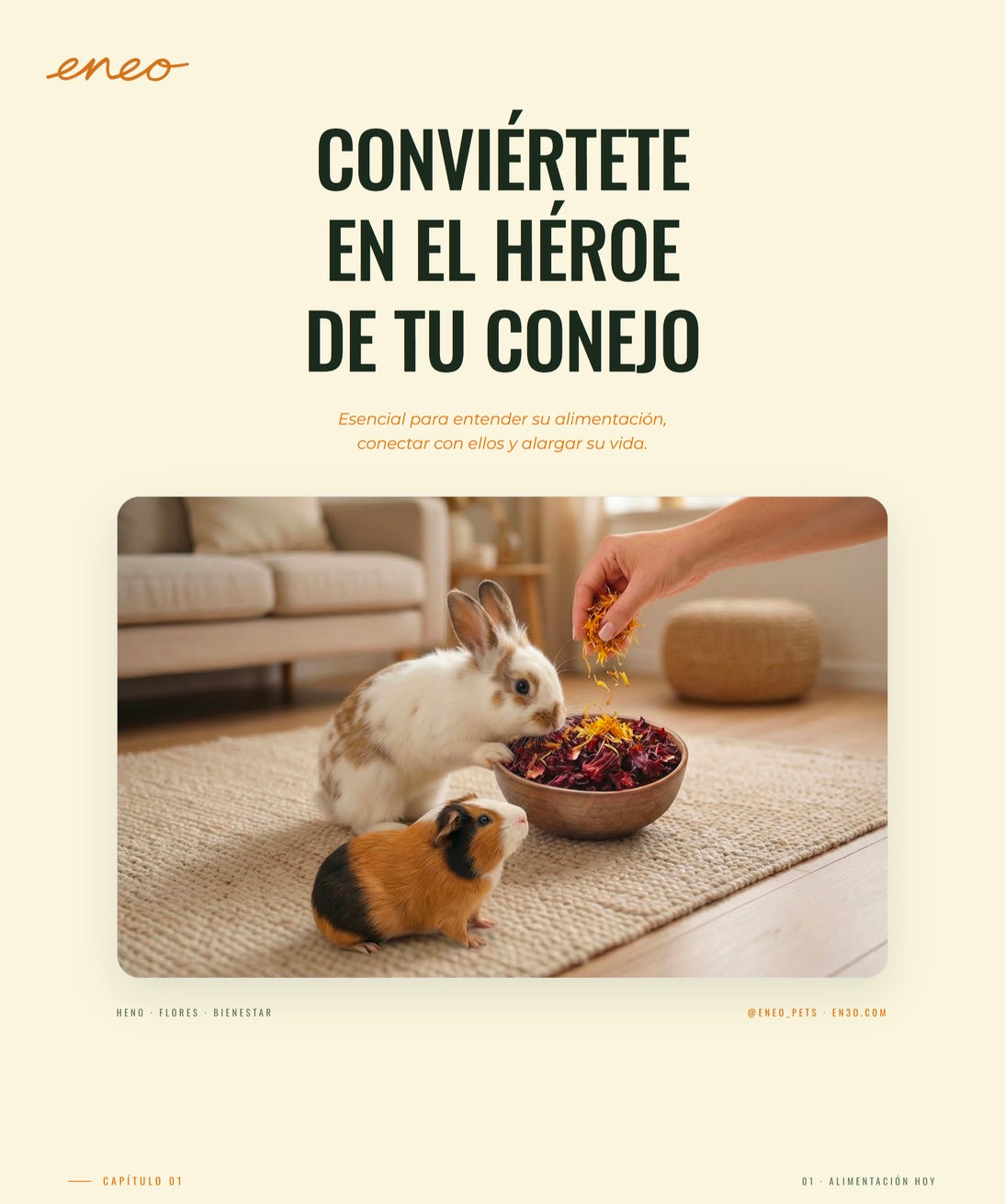 eBook Eneo