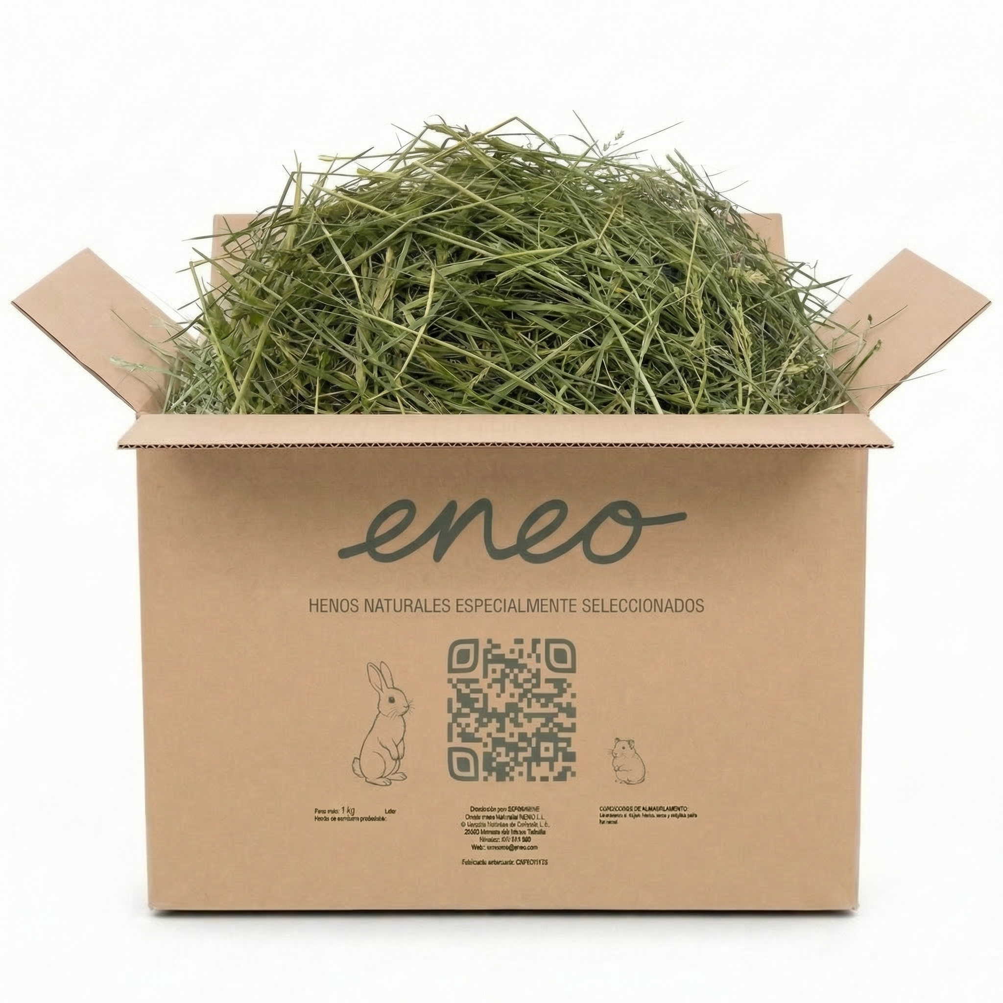 Festuca Extra Verde