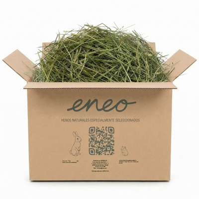 Festuca Extra Verde