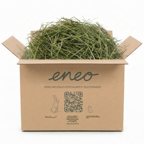 Festuca Extra Verde 1kg