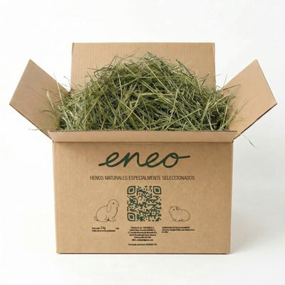 Festuca Extra Verde