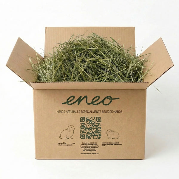Festuca Extra Verde 2kg