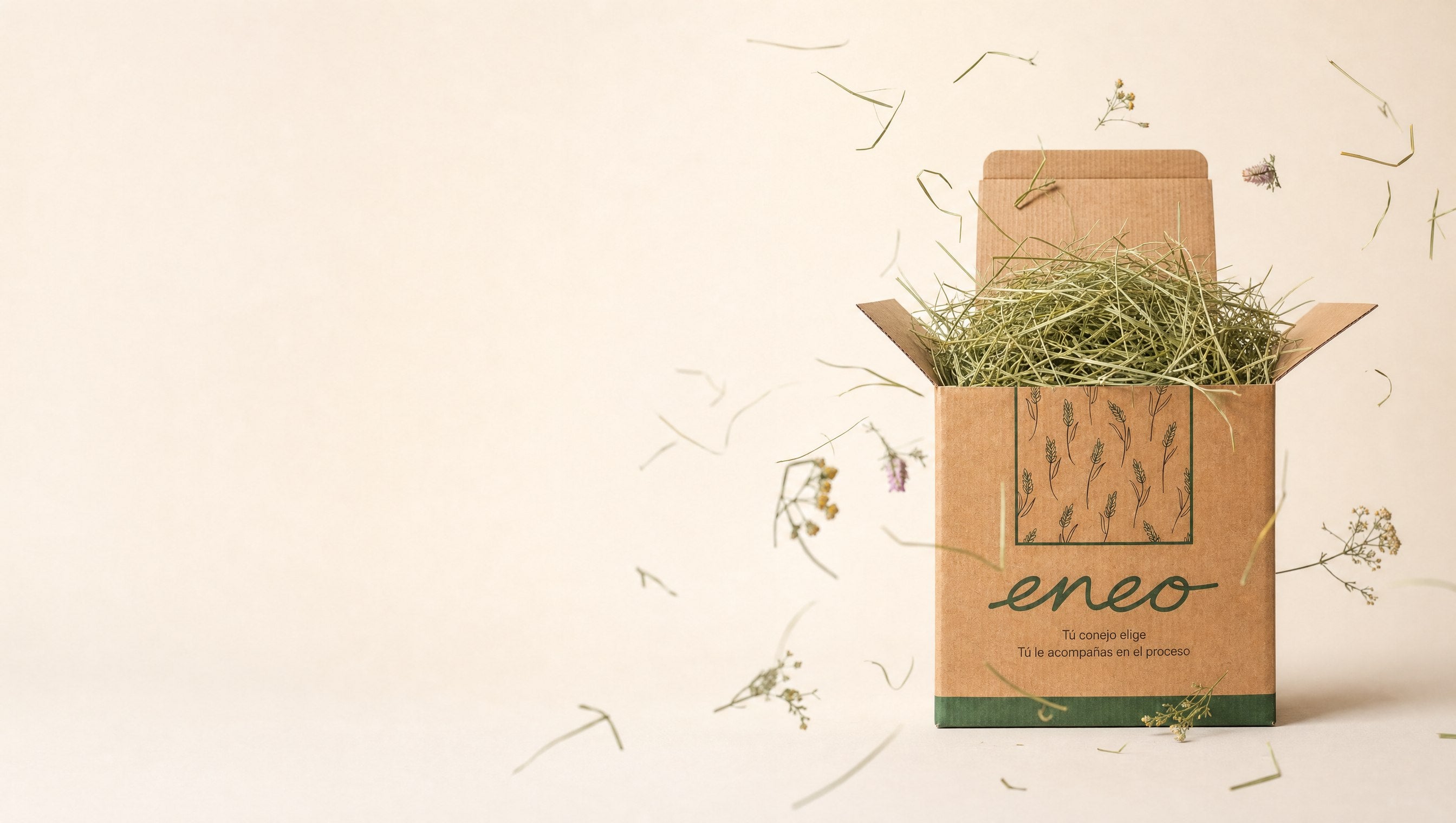 ENEO Rebajas de Julio hero caja real