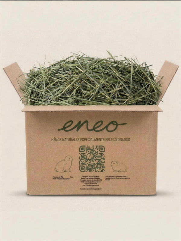 Festuca Extra Verde 2kg