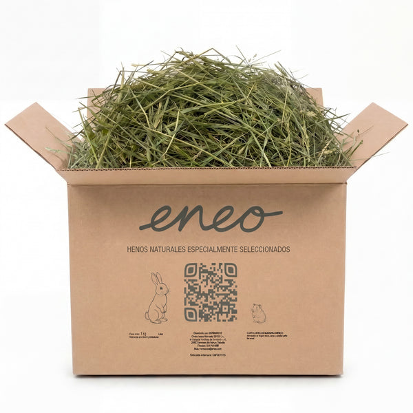 Festuca Extra Verde 1kg