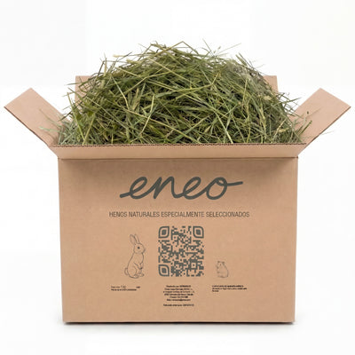 Festuca Extra Verde 1kg en caja de envío abierta