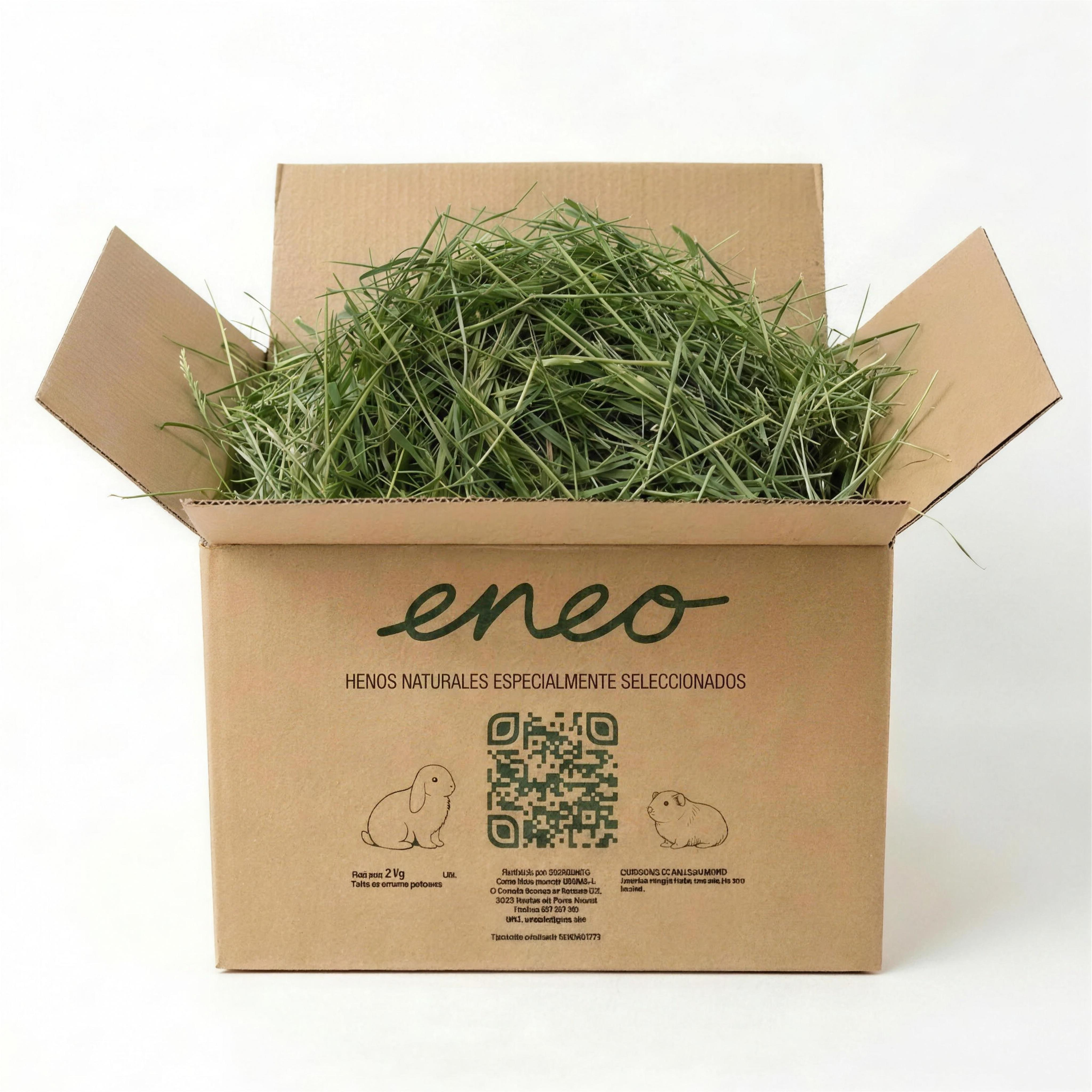 Festuca Extra Verde en caja de envío abierta
