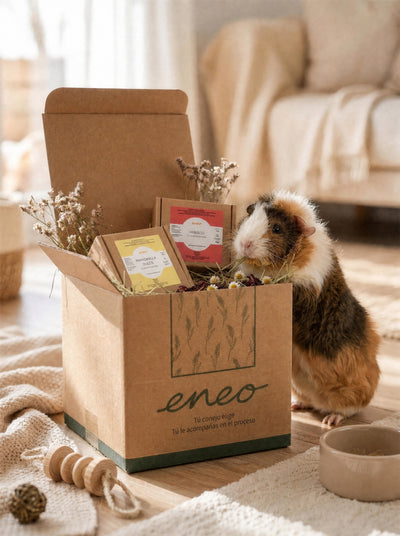Pack Pruébame Festuca — caja abierta con manzanilla, hibisco y cobaya